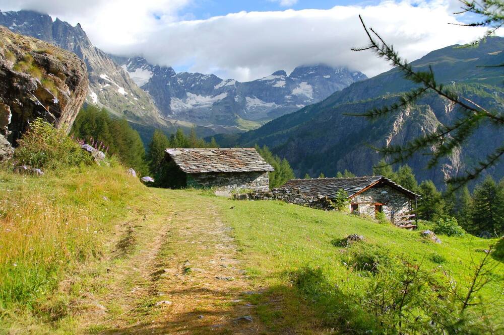 Photo of Others in Valtournenche