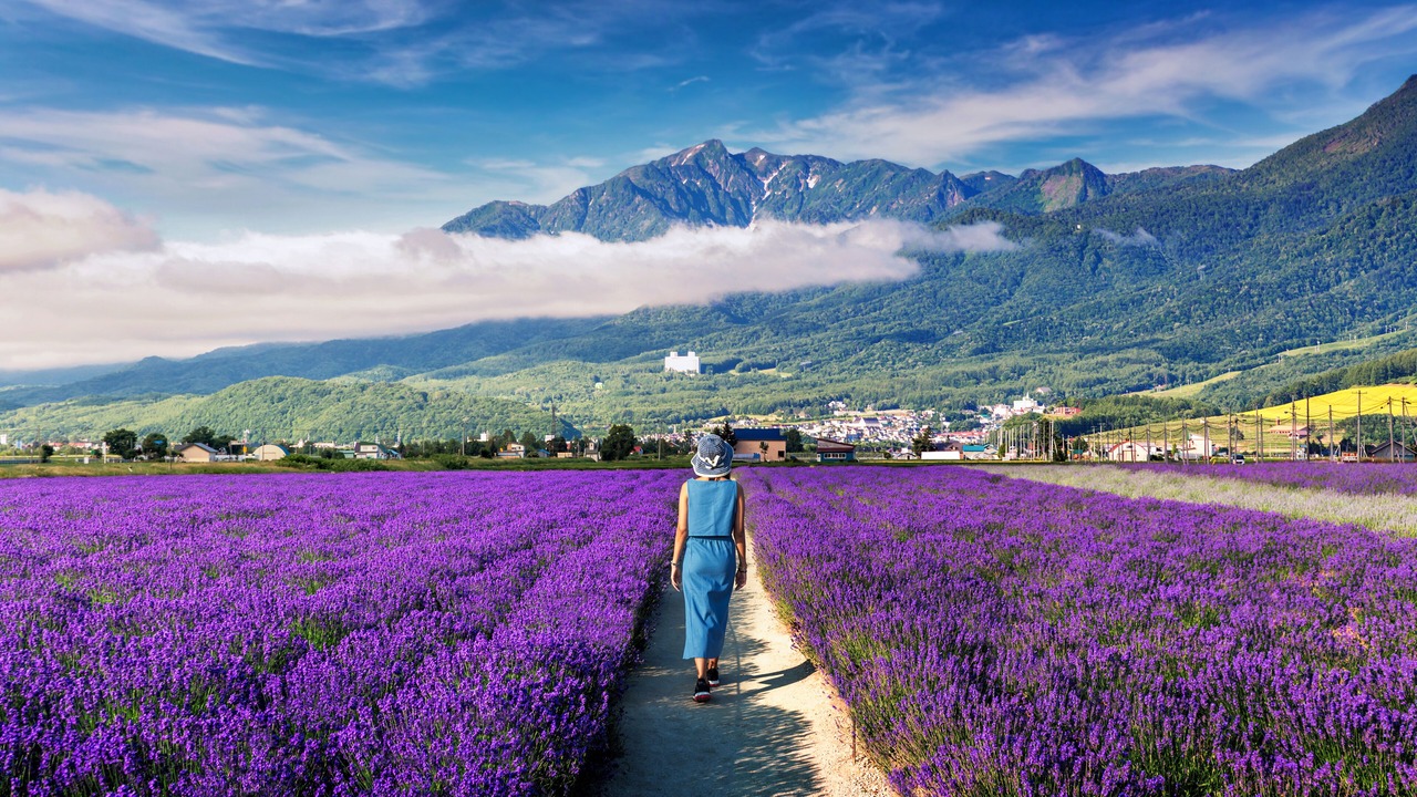 Photo of Outdoor in Furano