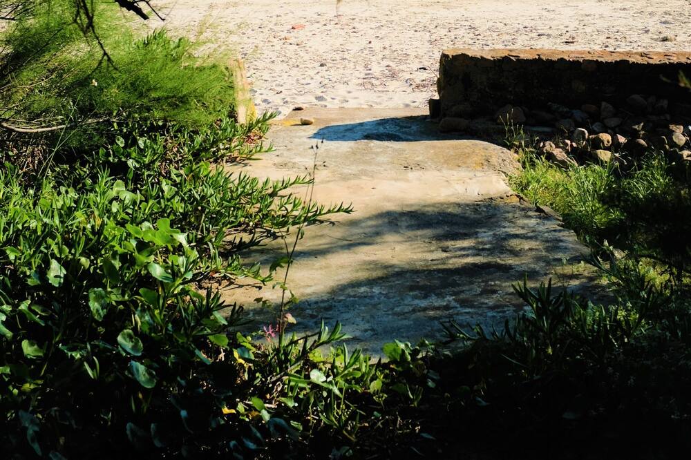 Photo of Others in Las Flores