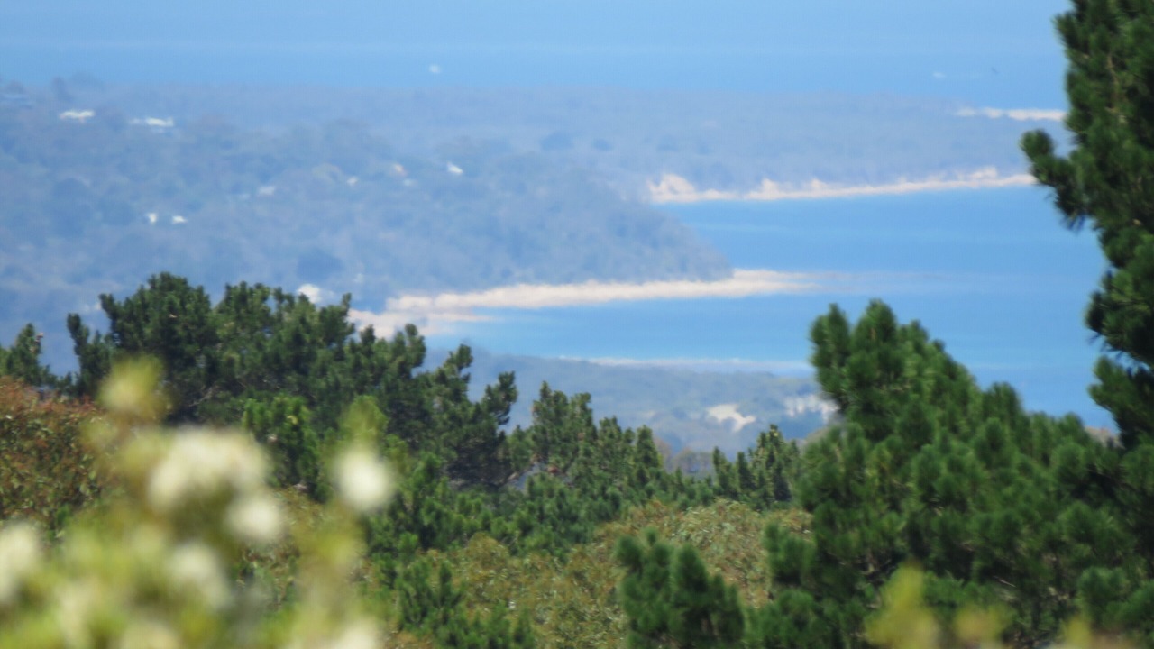 Photo of Others in Red Hill South