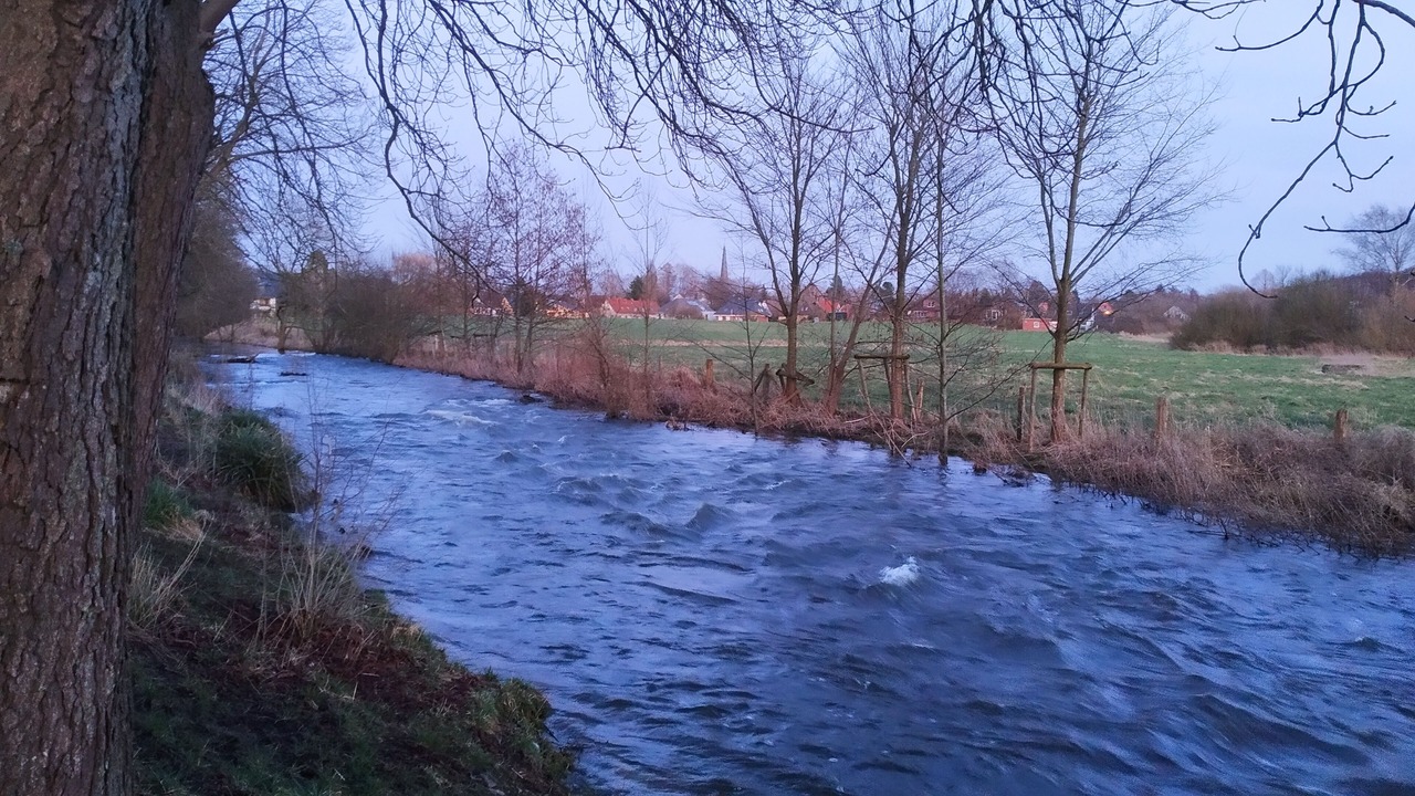 Photo of Others in Molfsee