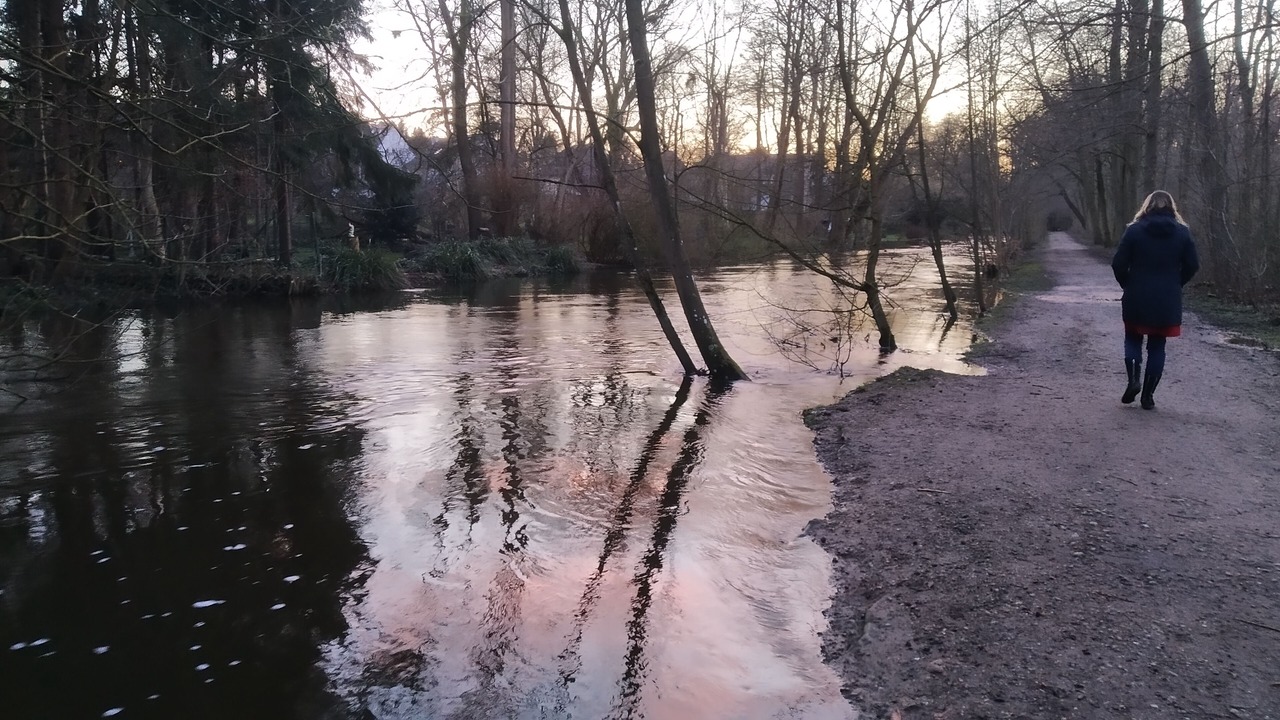 Photo of Others in Molfsee