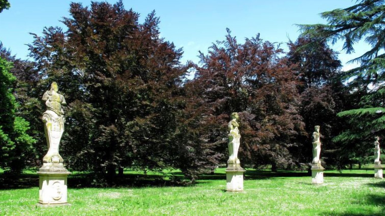 Photo of Outdoor in Codroipo