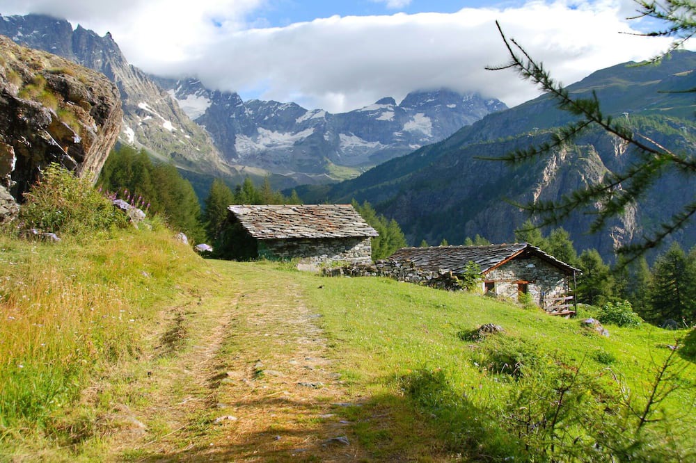 Photo of Others in Valtournenche