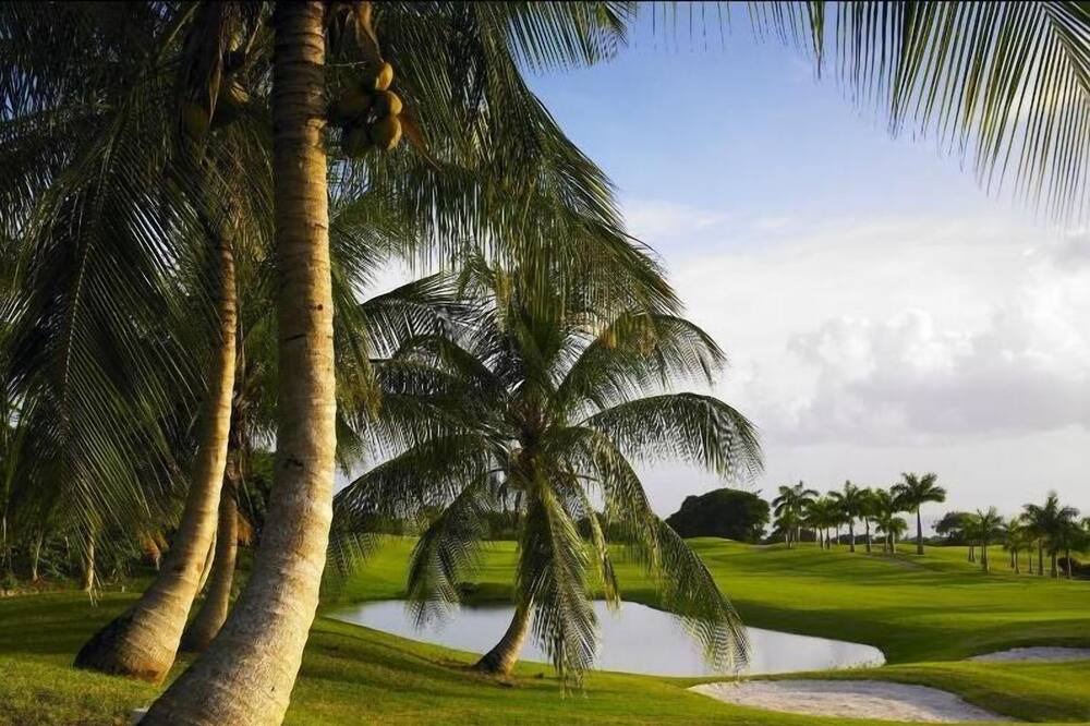 Photo of Outdoor in Merlin Bay