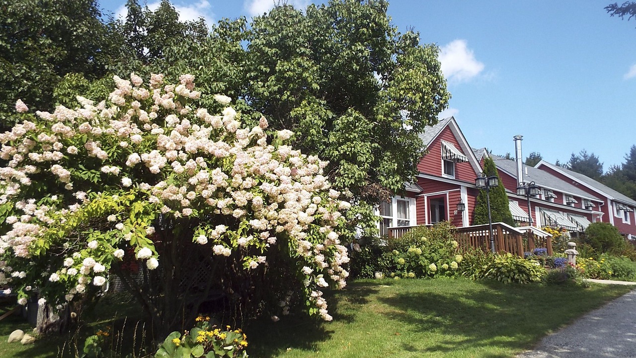 Photo of Outdoor in Mendon