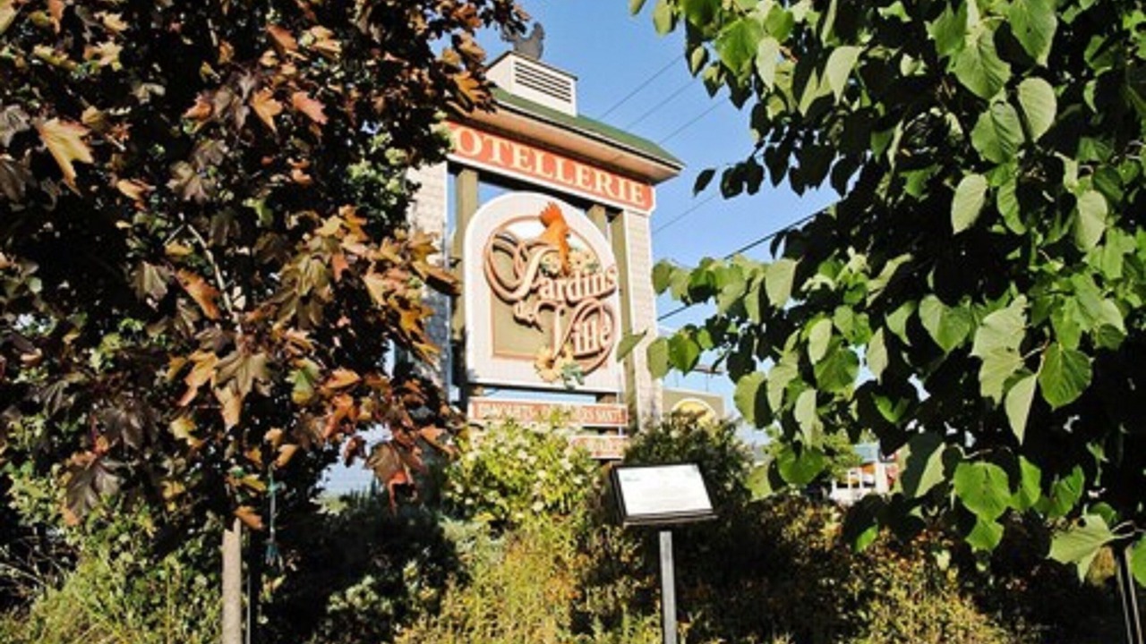 Photo of Outdoor in Rock Forest