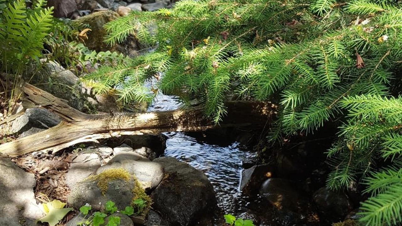 Photo of Outdoor in Bottelare