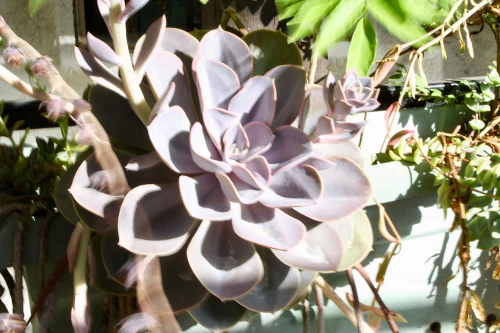 Photo of Outdoor in Val Verde
