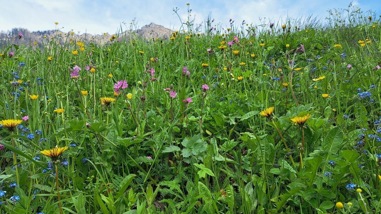 Photo of Outdoor in Matrei in Osttirol