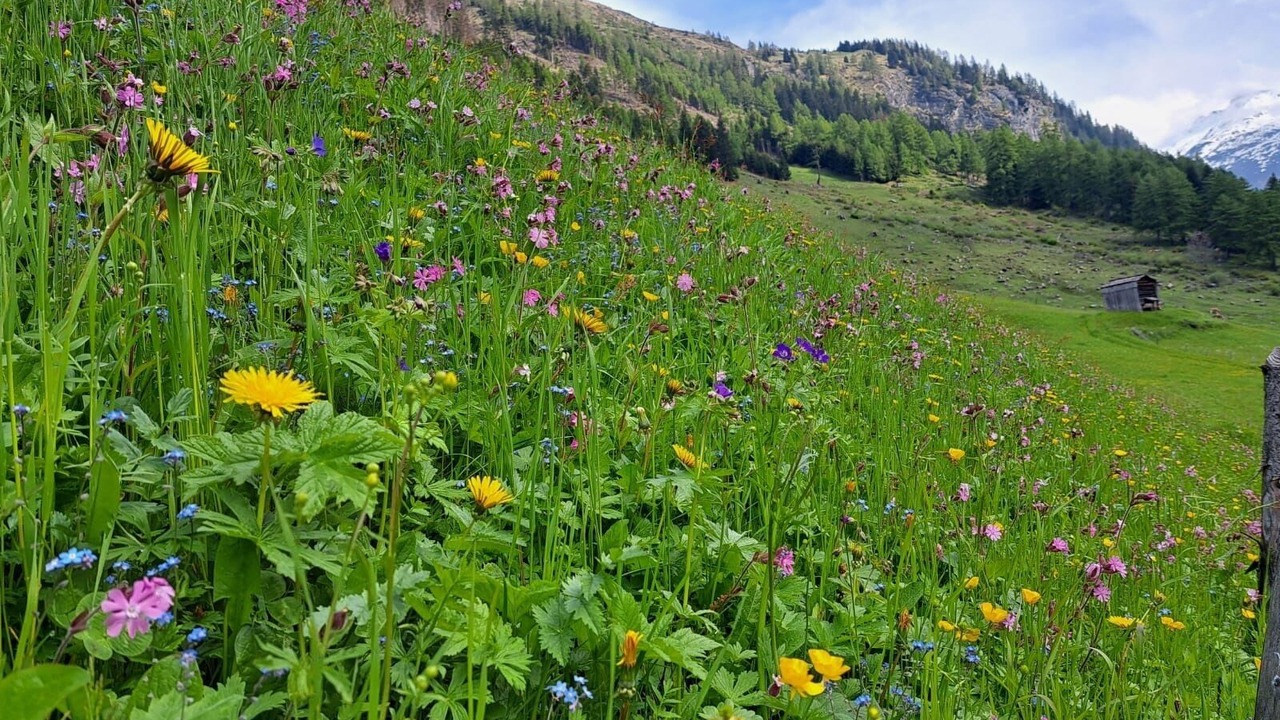 Photo of Outdoor in Matrei in Osttirol