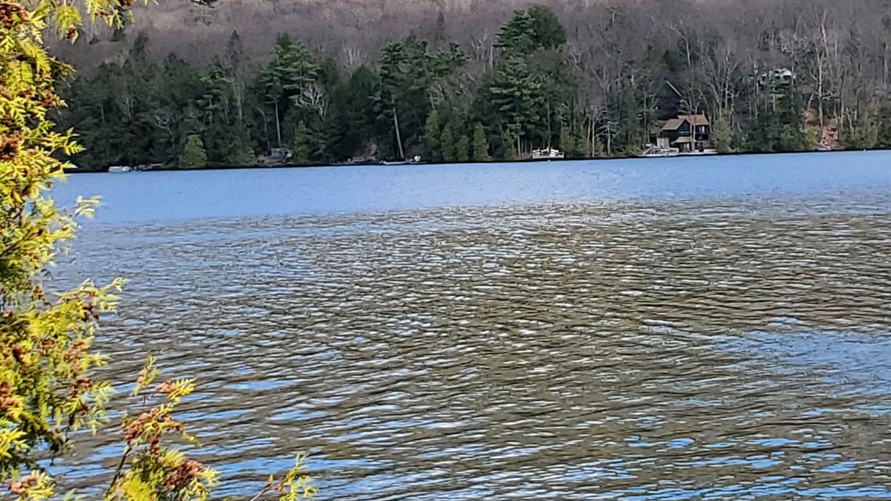 Photo of Outdoor in Forest Dale