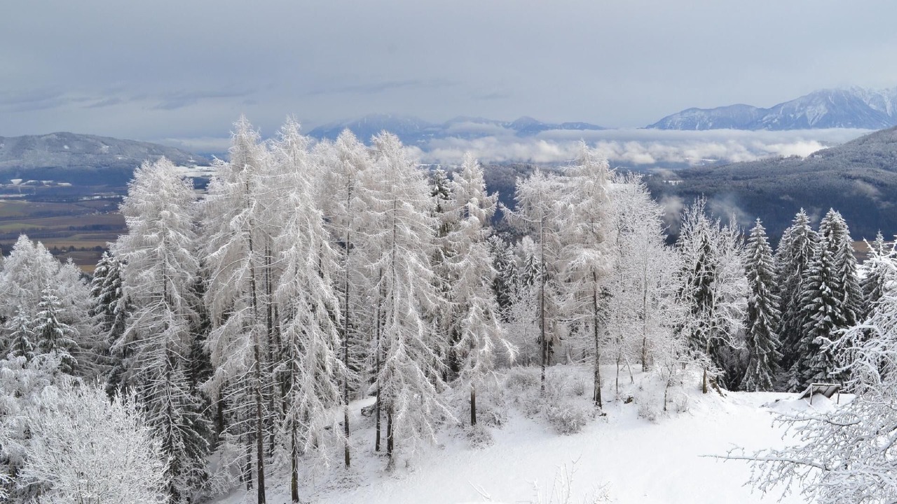 Photo of Others in Liebenfels