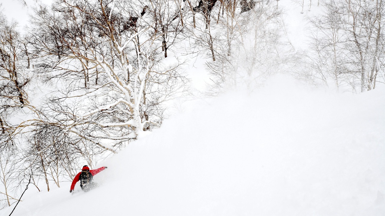 Photo of Others in Asahikawa