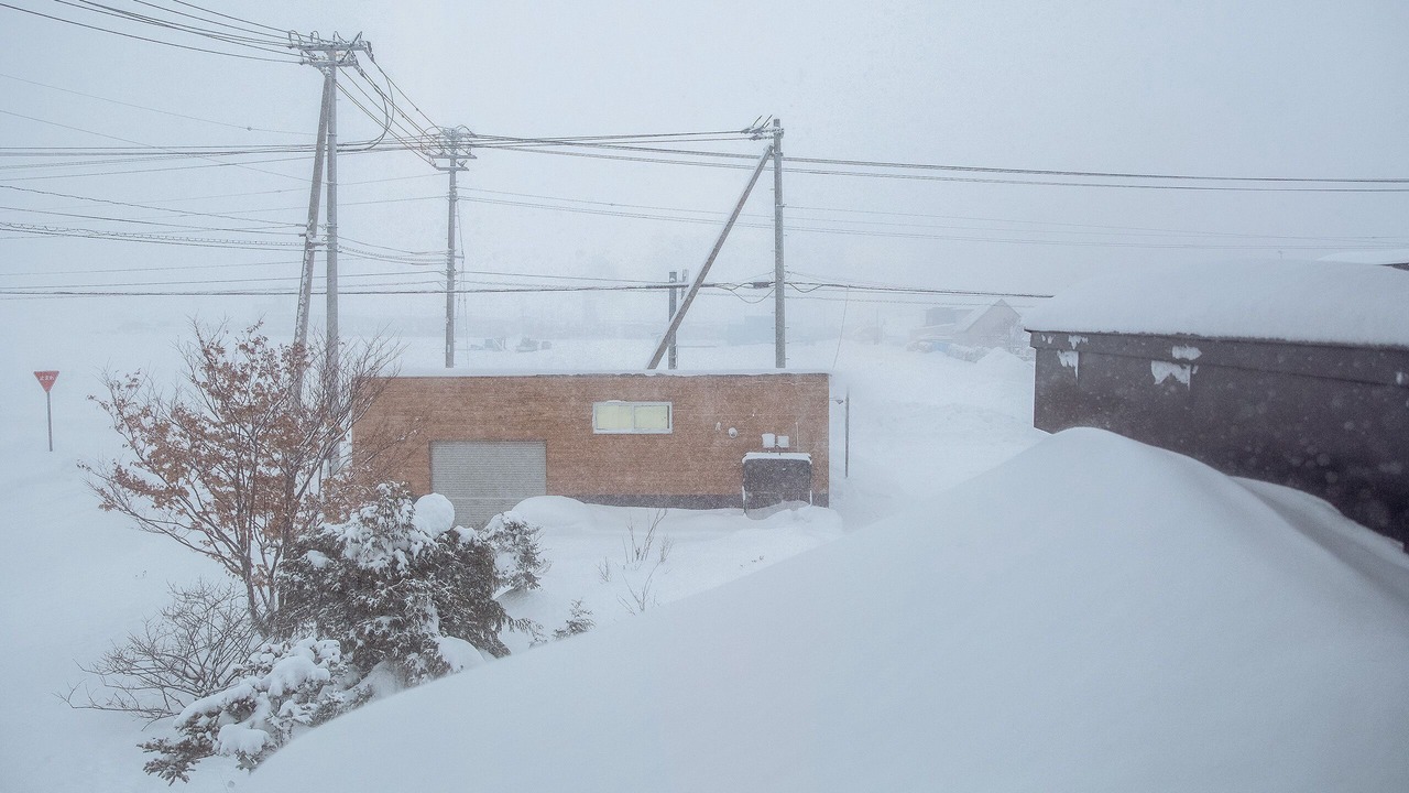Photo of Others in Asahikawa