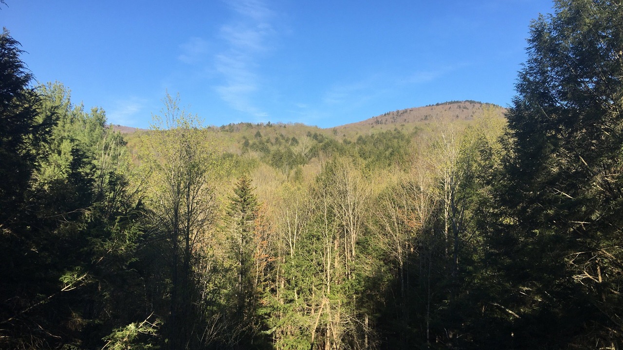 Photo of Outdoor in Waterbury