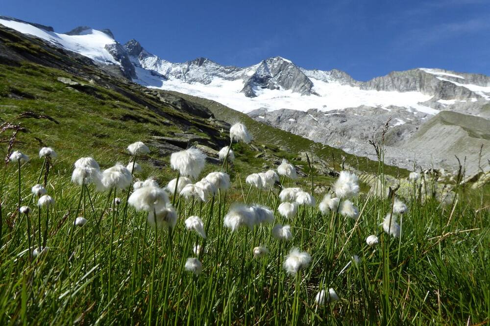 Photo of Outdoor in Madseit
