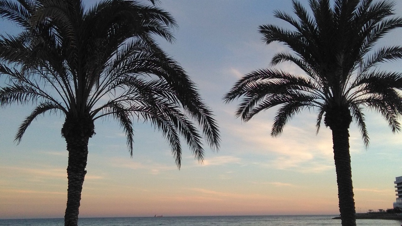 Photo of Others in Raval Roig