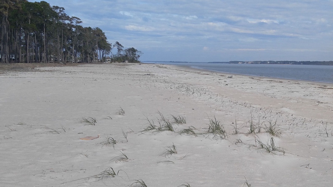 Photo of Others in Melrose on the Beach