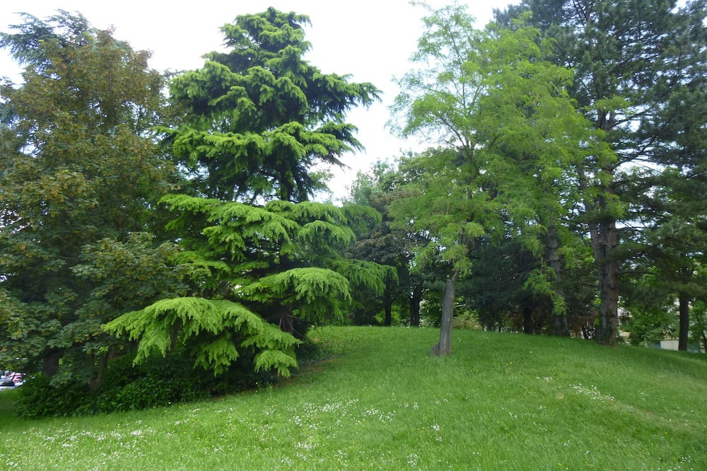 Photo of Outdoor in Bron