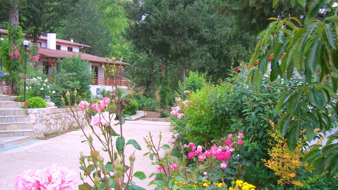 Photo of Outdoor in Beycik