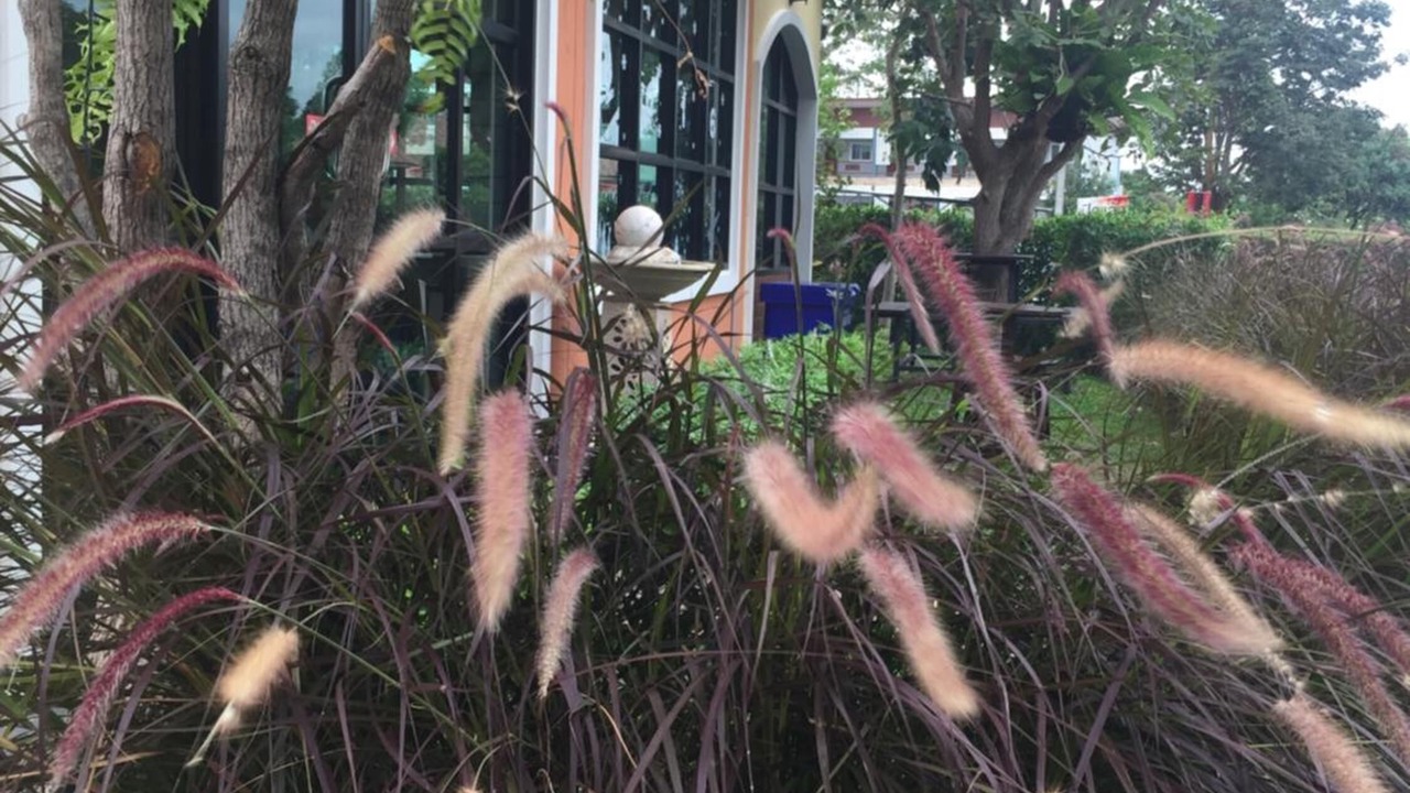 Photo of Outdoor in Nakhon Ratchasima