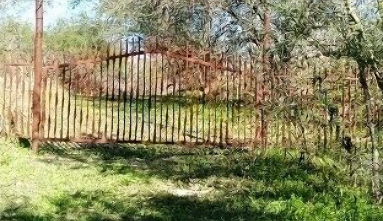 Photo of Outdoor in Comanche