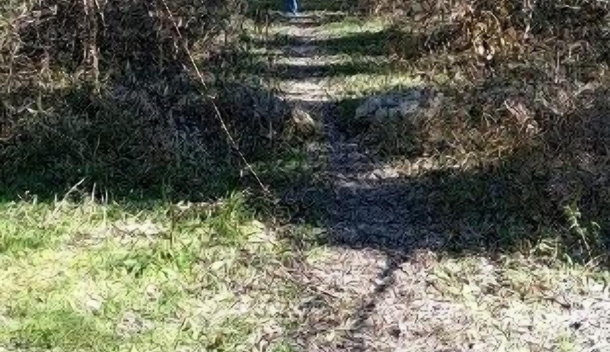 Photo of Outdoor in Comanche