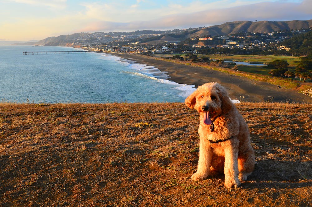 Photo of Outdoor in Park Pacifica