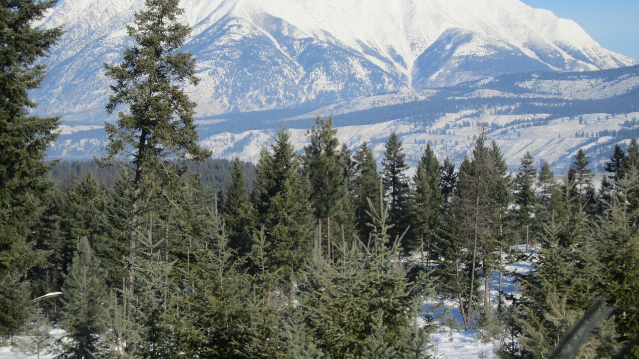 Photo of Outdoor in East Kootenay
