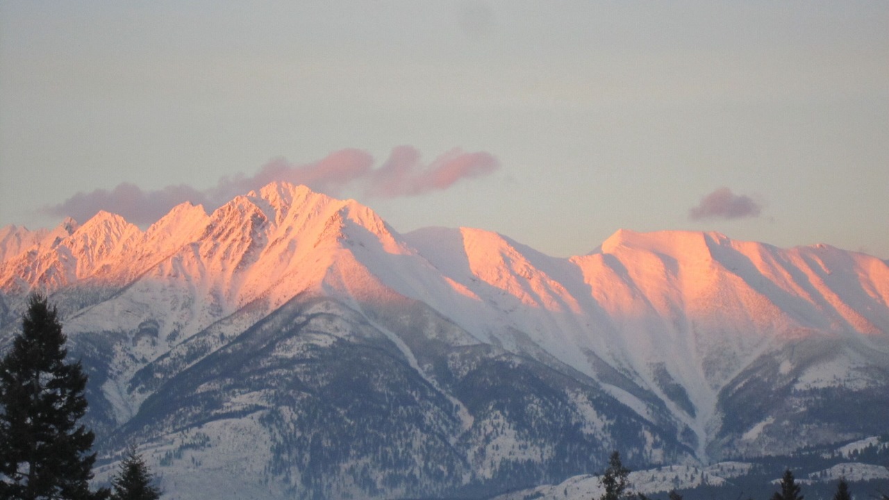 Photo of Others in East Kootenay