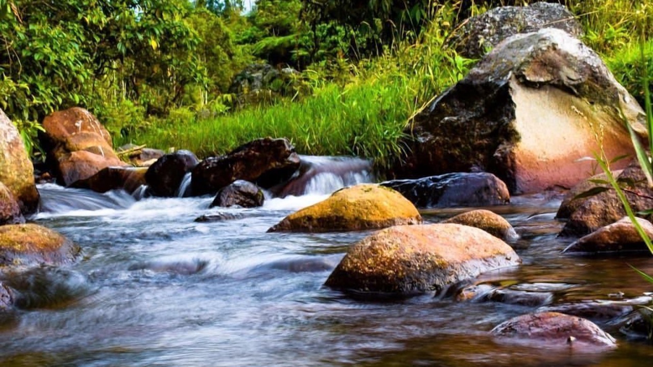 Photo of Outdoor in Santa Rosa de Cabal