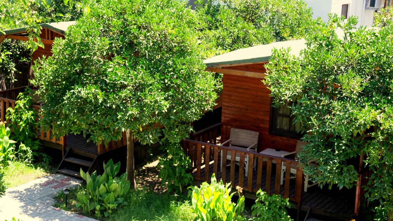 Photo of Outdoor in Adrasan