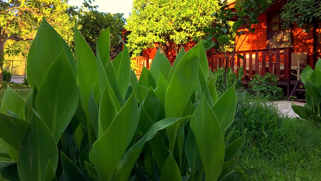 Photo of Outdoor in Adrasan