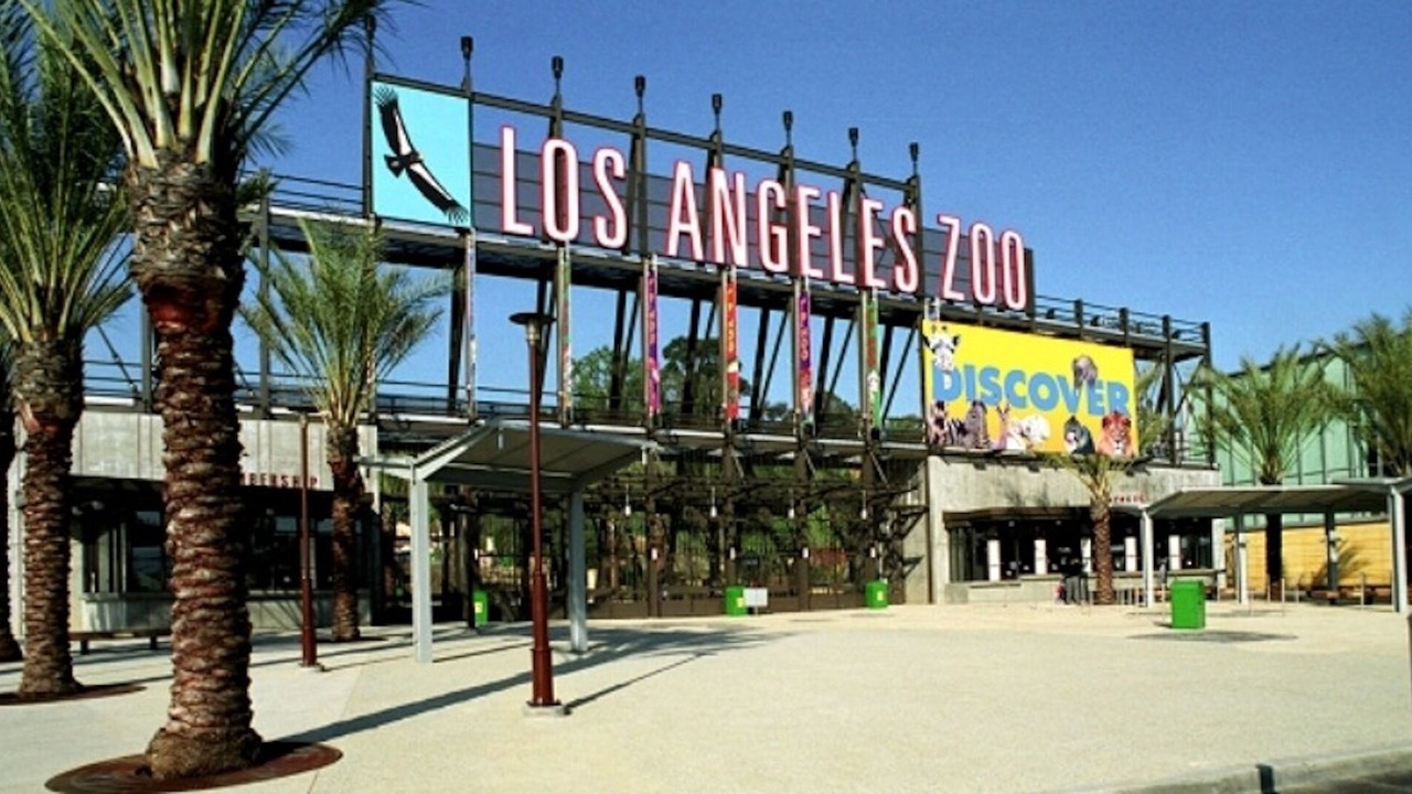 Photo of Outdoor in Atwater Village