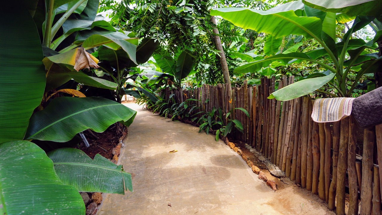 Photo of Bedroom in Freetown