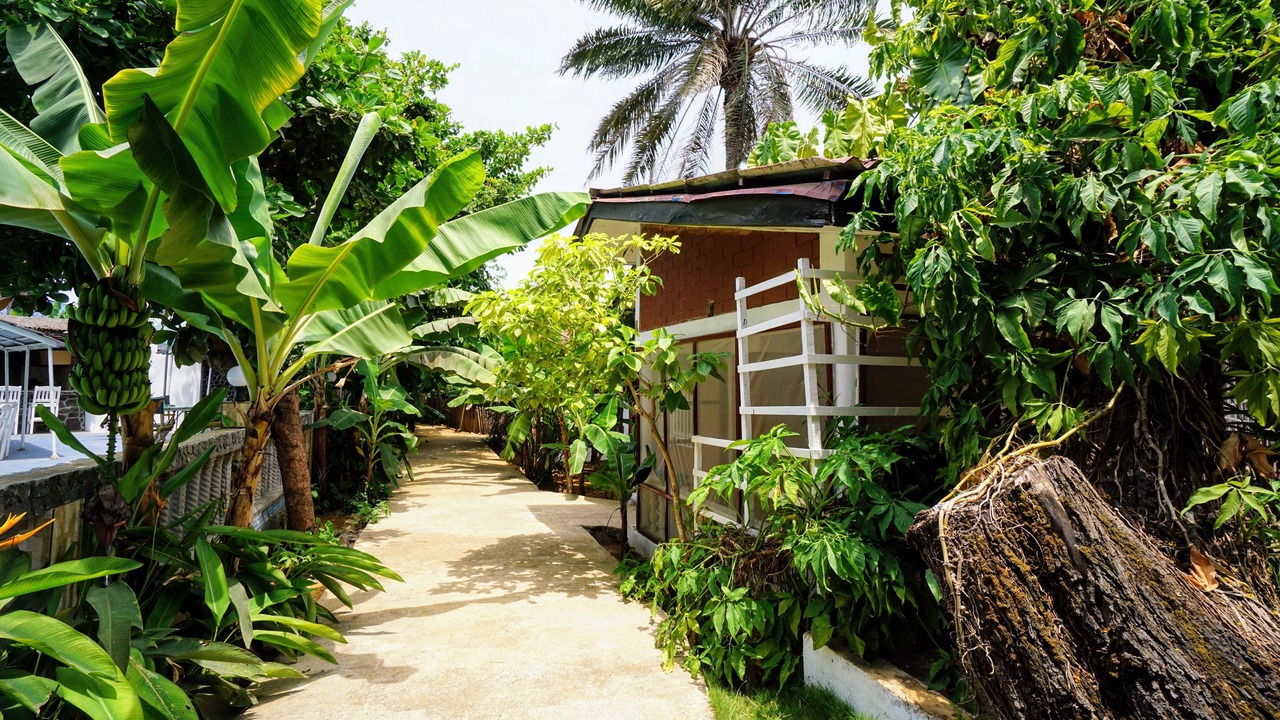 Photo of Outdoor in Freetown