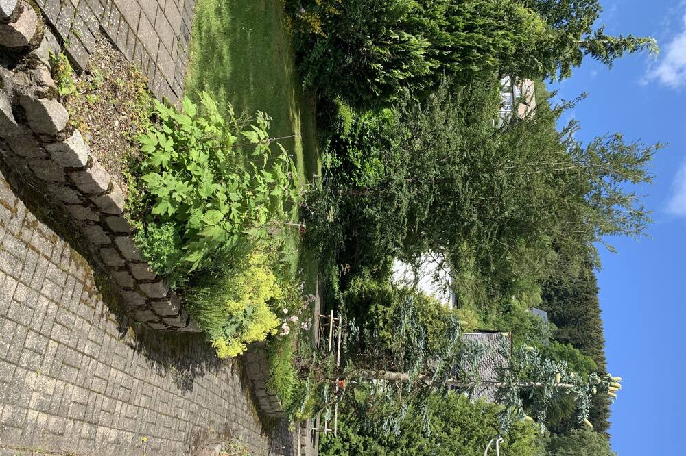 Photo of Outdoor in Silbach
