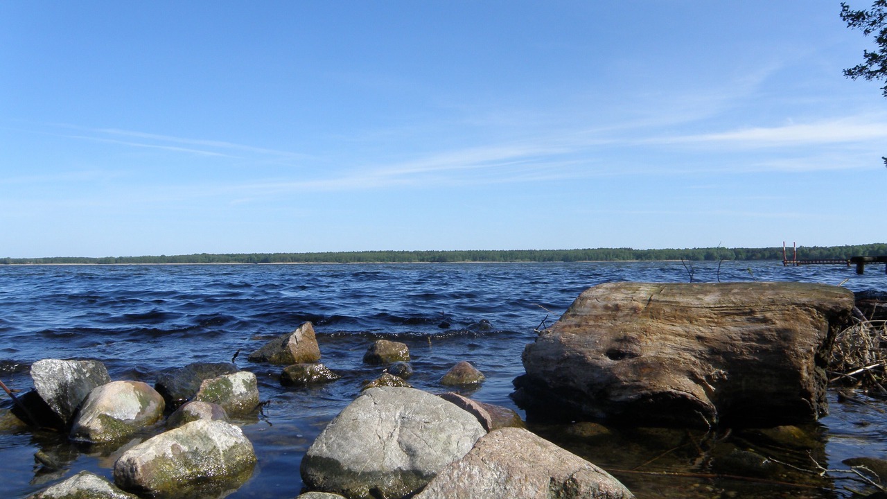 Photo of Others in Arendsee