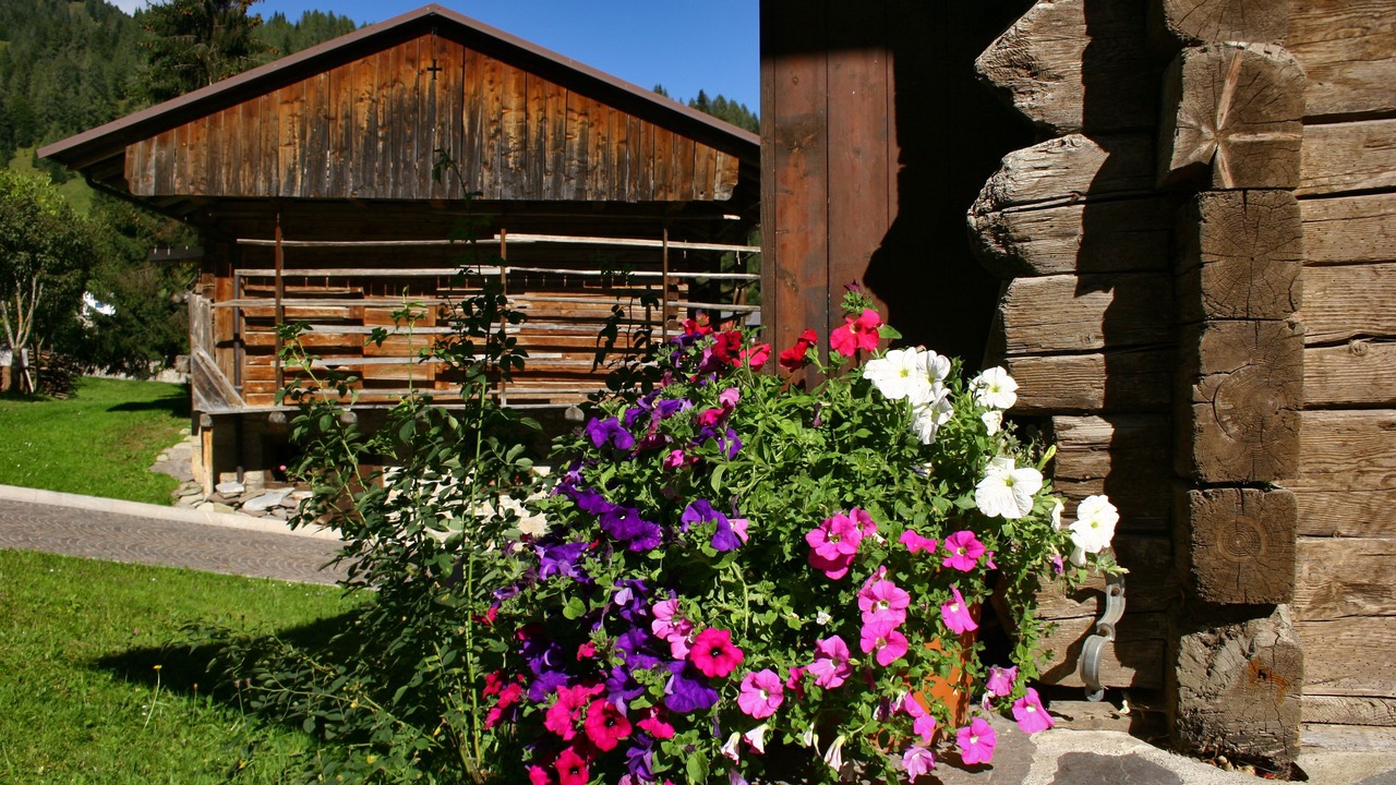 Photo of Outdoor in Sauris di Sotto