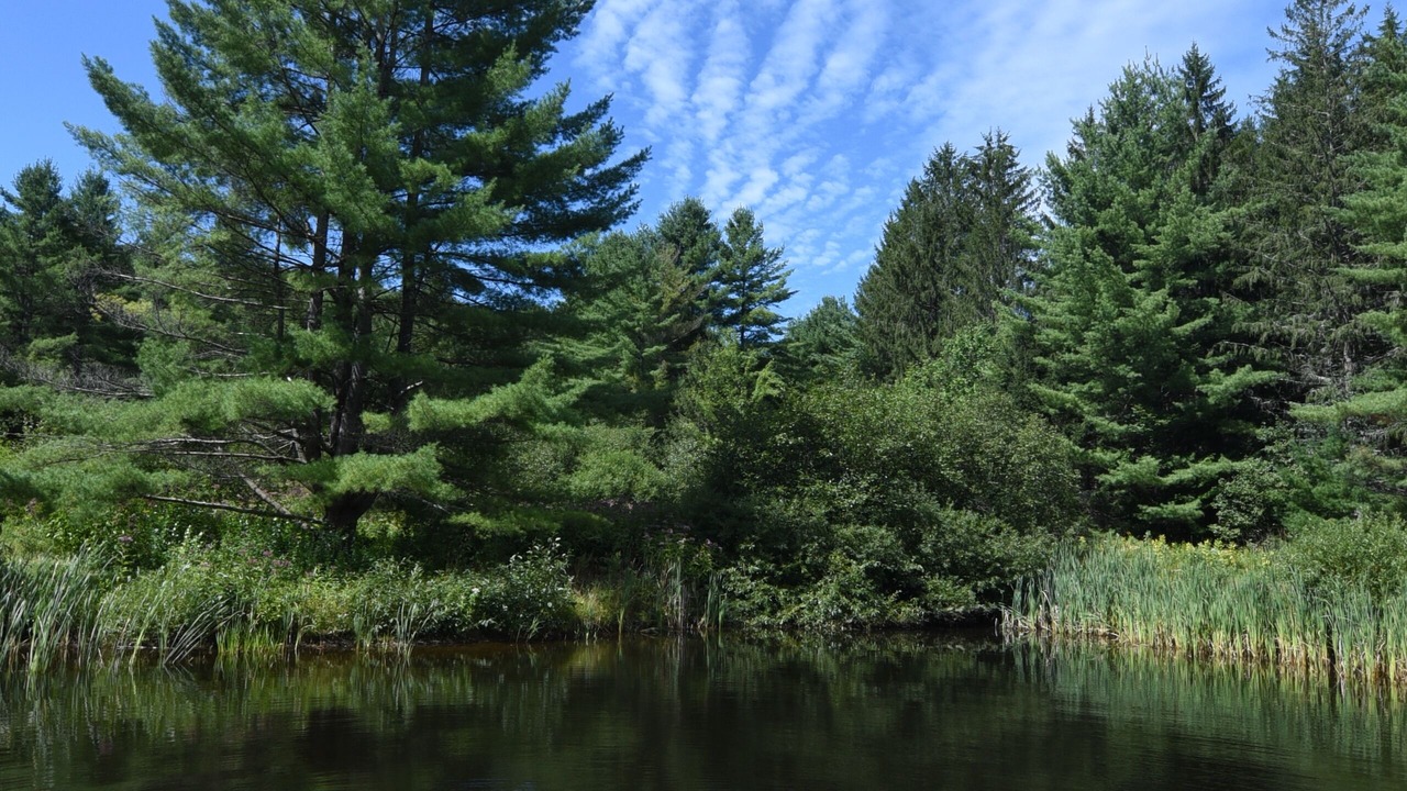 Photo of Outdoor in Waitsfield
