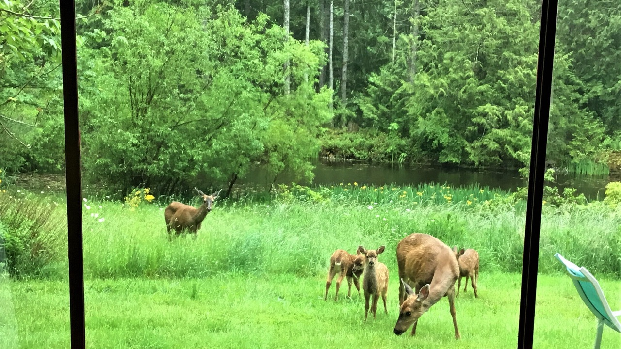 Photo of Outdoor in Salt Spring Island