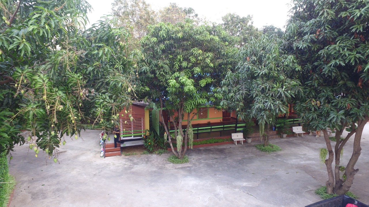 Photo of Outdoor in Nong Bua Sala