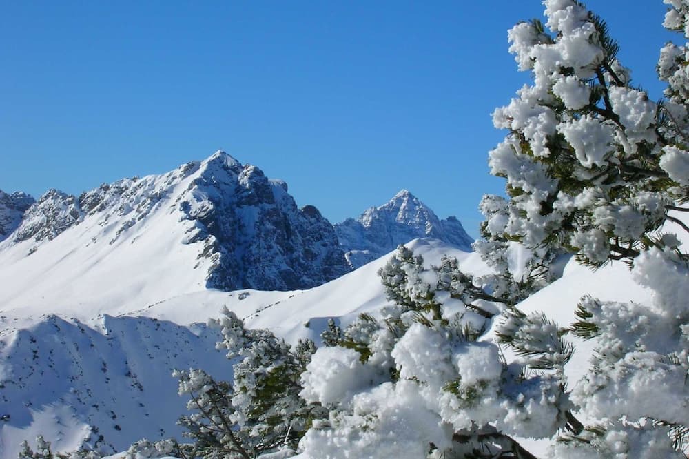 Photo of Outdoor in Tannheim