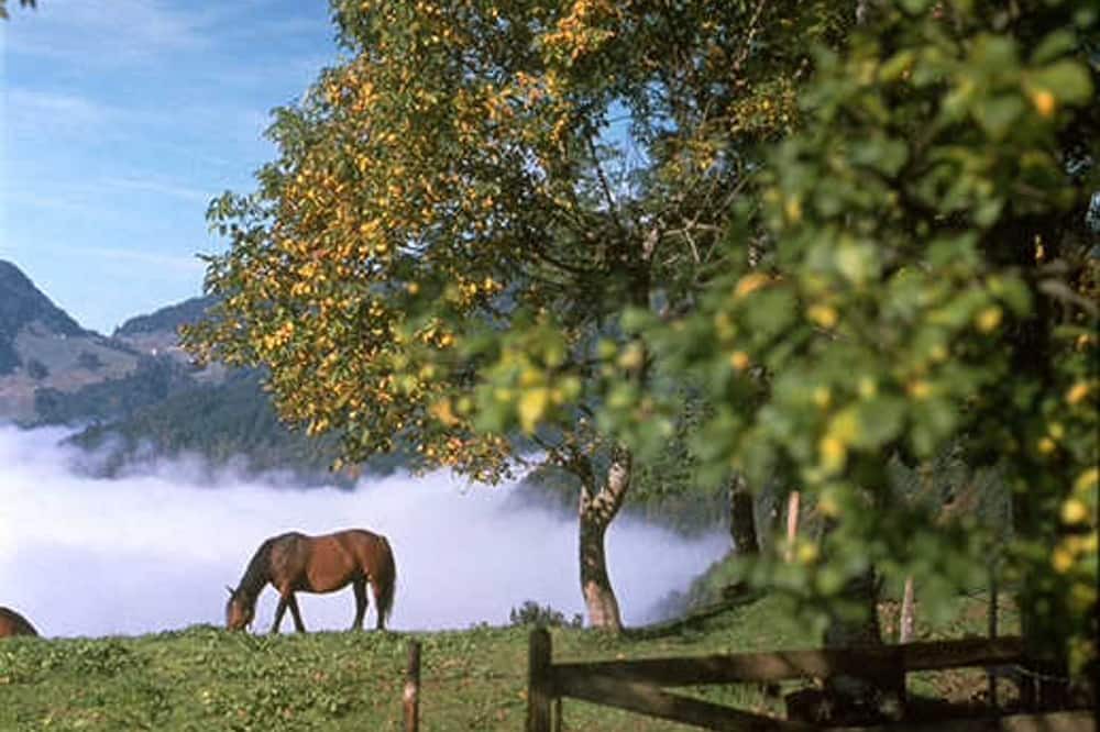 Photo of Outdoor in Walchsee