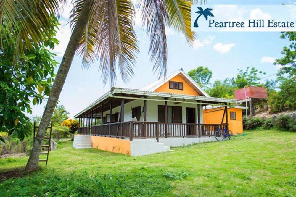 Photo of Outdoor in Negril
