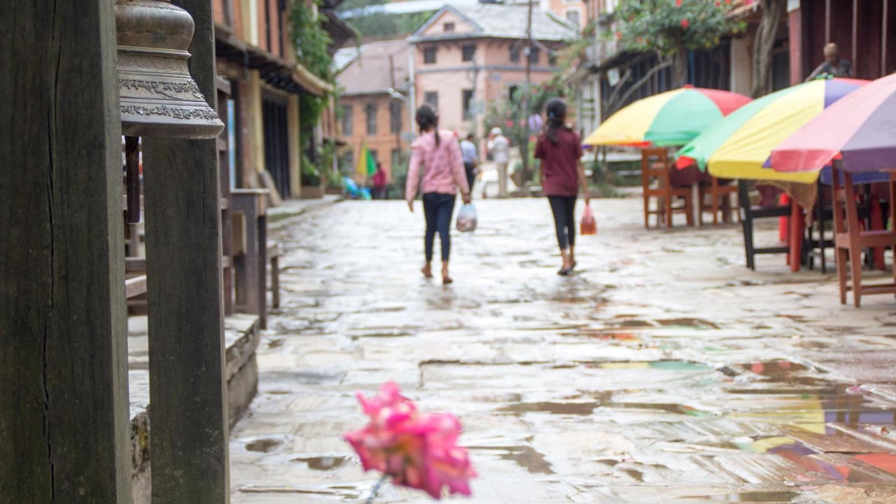 Photo of Outdoor in Bandipur