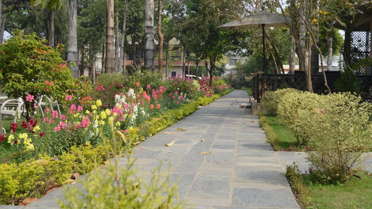 Photo of Outdoor in Sauraha