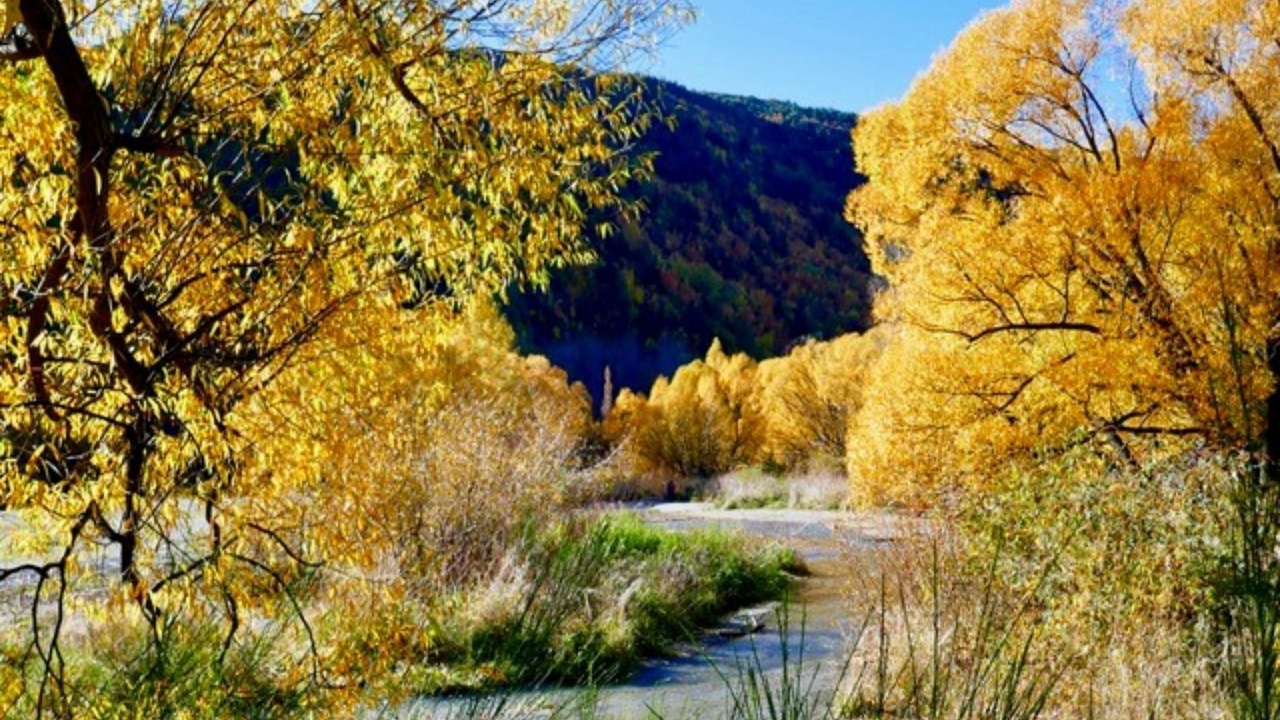 Photo of Others in Arrowtown
