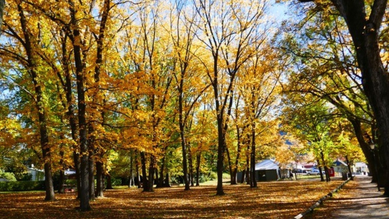 Photo of Outdoor in Arrowtown